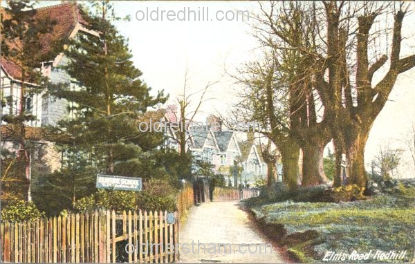 Image number 1734&prevurl=elmroad