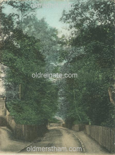 Image number 175&prevurl=year1917