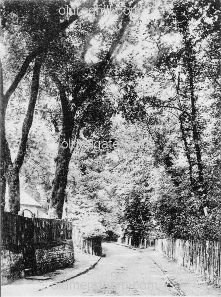 Image number 181&prevurl=publishers19