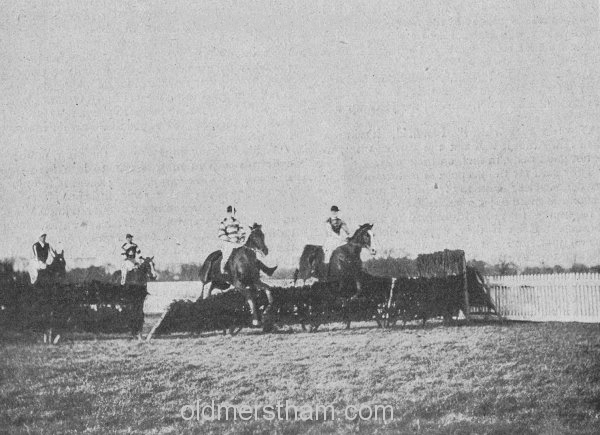 Image number 1908