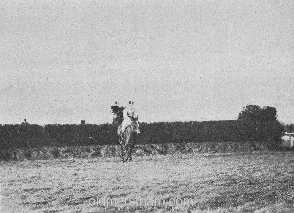 Image number 1909