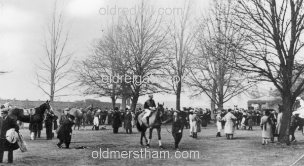 Image number 1915