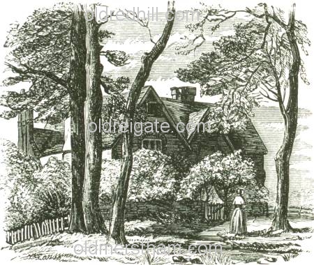 Image number 2454&prevurl=hightreesroad