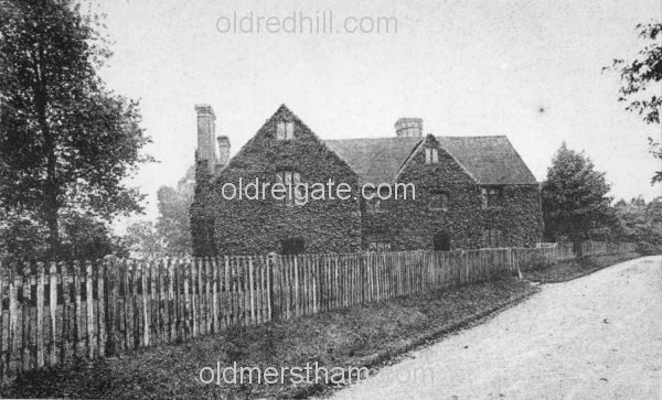 Image number 2455&prevurl=hightreesroad