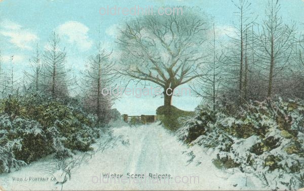 Image number 2461&prevurl=hightreesroad