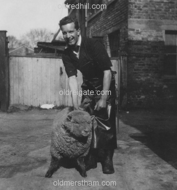 Image number 2790&prevurl=linkfieldcorner