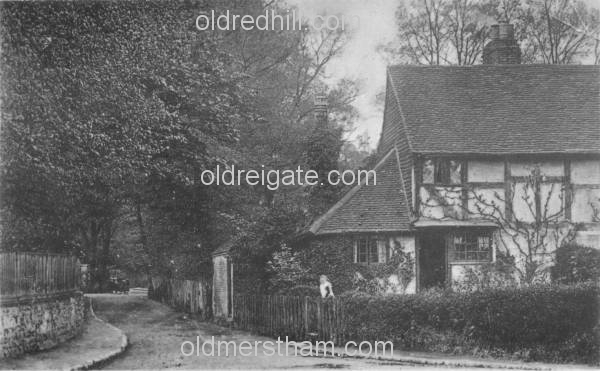 Image number 2805&prevurl=publishers60