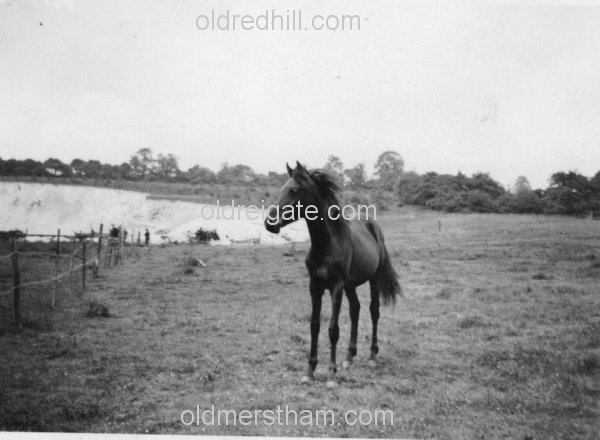 Image number 3059&prevurl=year1939