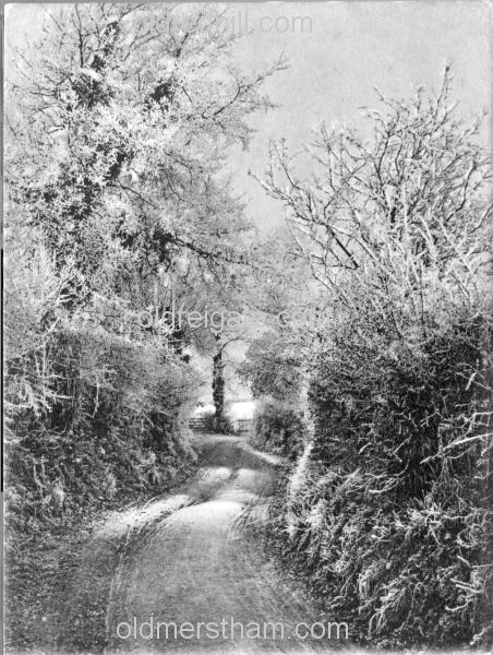 Image number 3534&prevurl=publishers19