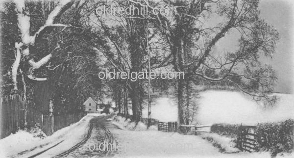 Image number 3567&prevurl=publishers19