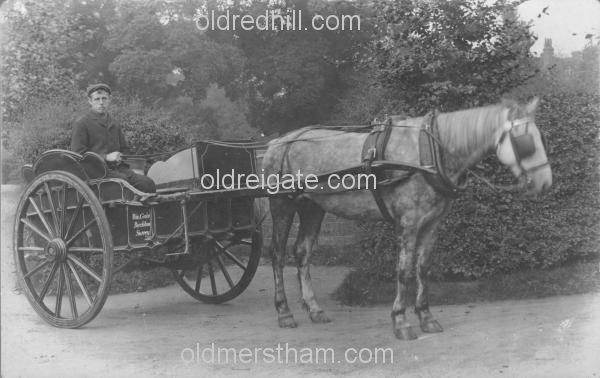 Image number 3772&prevurl=rectorylane