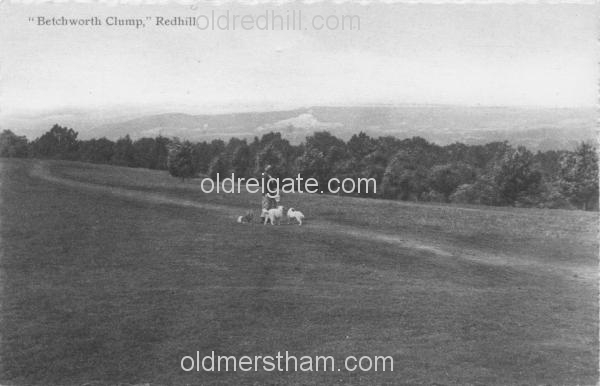 Image number 3999&prevurl=publishers246