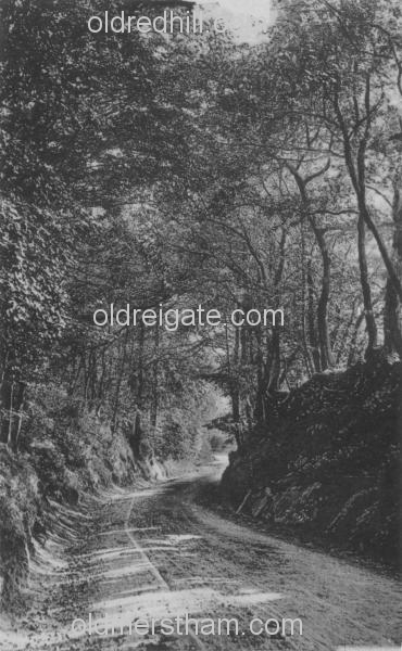 Image number 4208&prevurl=publishers60