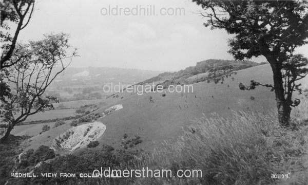 Image number 4505&prevurl=reigatehill6