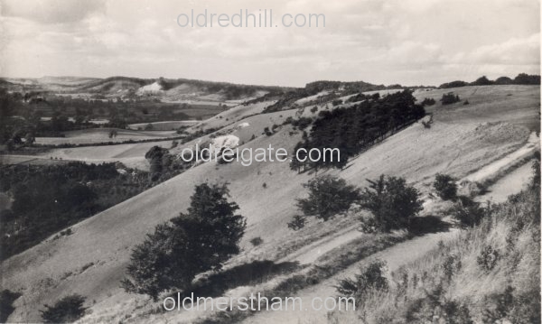 Image number 4506&prevurl=reigatehill6