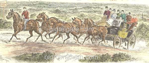 Image number 4578&prevurl=year1893