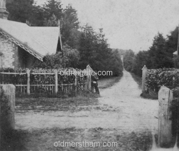 Image number 5260&prevurl=stereoviews