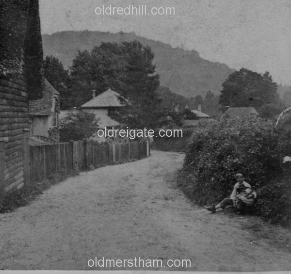 Image number 5264&prevurl=stereoviews