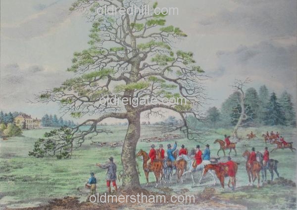 Image number 5676&prevurl=uppergattonpark
