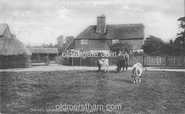 Image number 5868&prevurl=wiggielane2