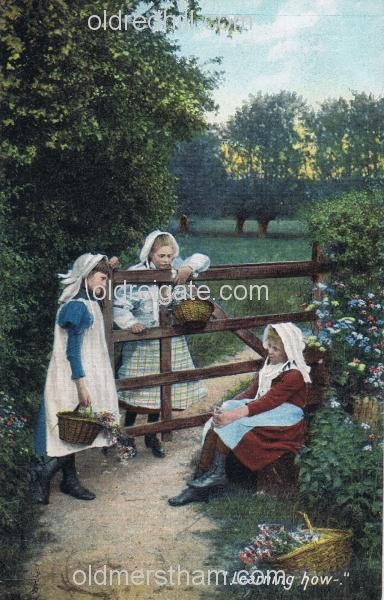 Image number 5870&prevurl=wiggielane2