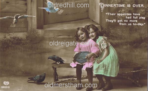 Image number 5872&prevurl=wiggielane2