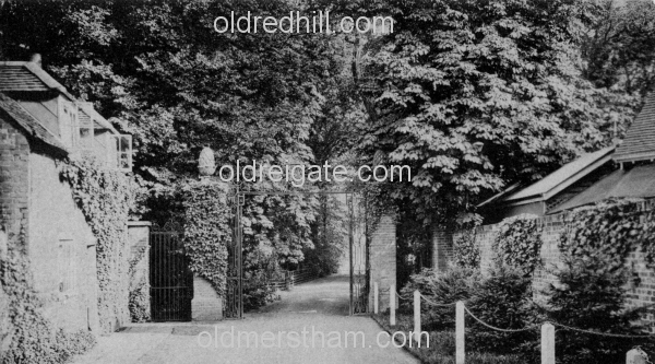 Image number 6105