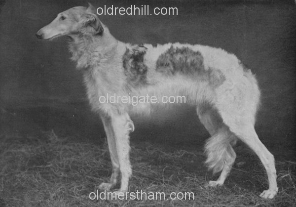 Image number 6319&prevurl=ringleyparkavenue