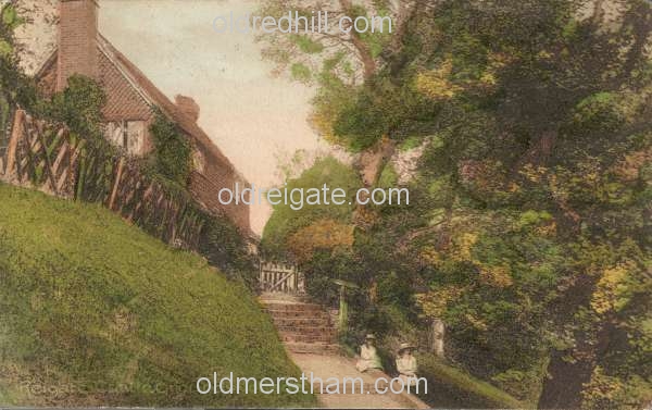 Image number 701&prevurl=castlegrounds