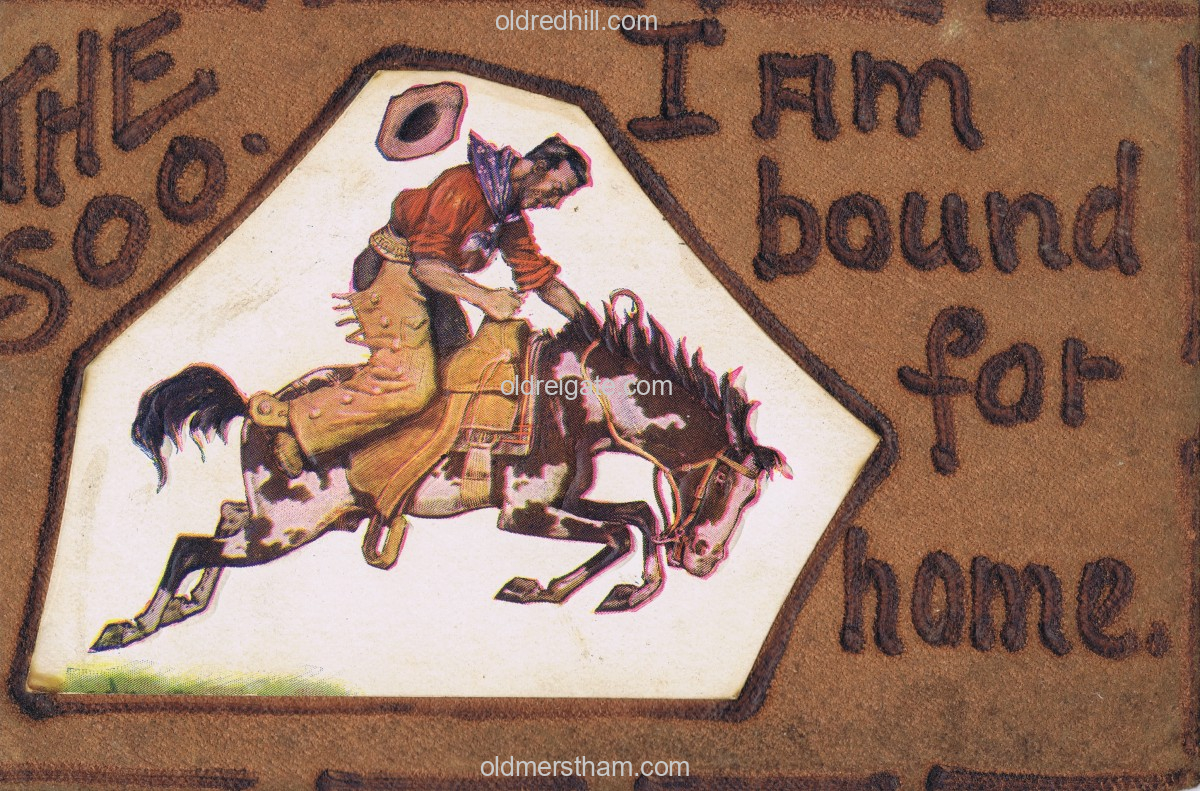 Image number 7207