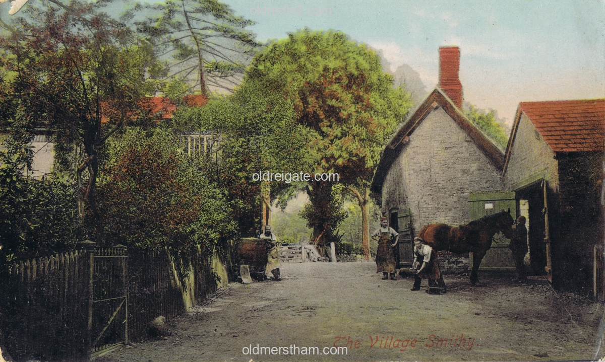 Image number 8205&prevurl=wiggielane2