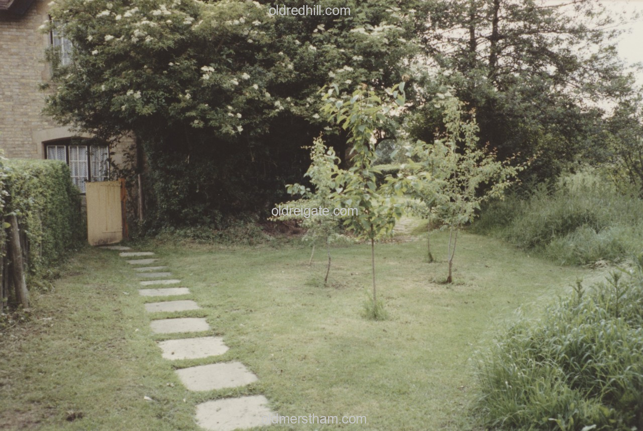 Image number 8618&prevurl=rps