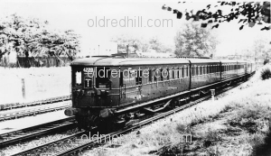 Image number 1916