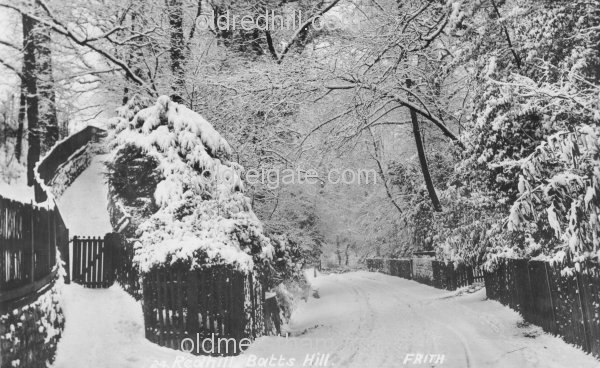 Image number 170&prevurl=year1909