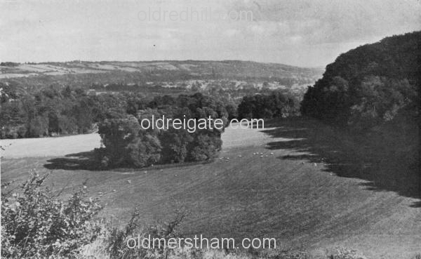 Image number 1870