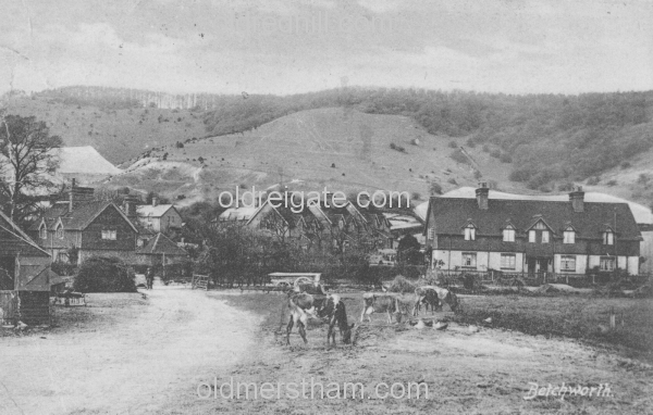 Image number 417&prevurl=year1909