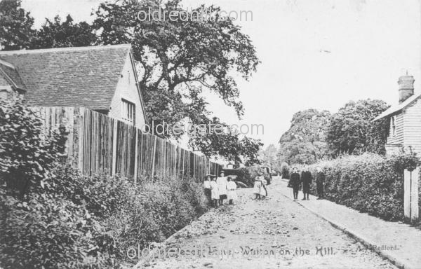 Image number 506&prevurl=breechlane